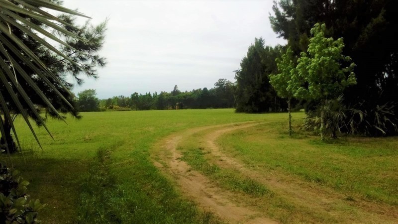 Excelente chacra en Ruta 104 Manantiales en venta y alquiler